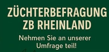 Bild_Fragebogen